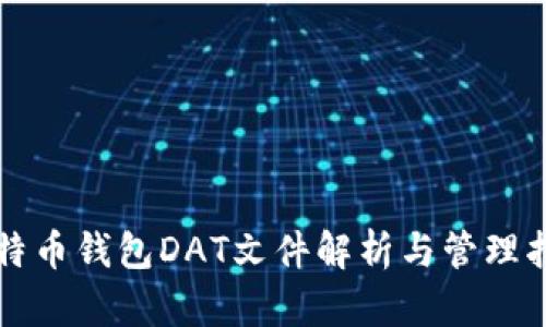 比特币钱包DAT文件解析与管理指南