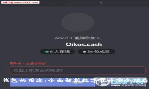 虚拟币钱包的用途:全面解析数字货币安全储存与管理