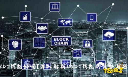 USDT钱包好吗?深入解析USDT钱包的优势与劣势