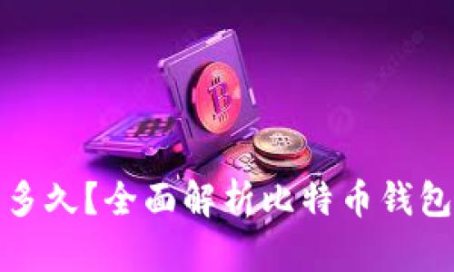 比特币钱包更新需要多久?全面解析比特币钱包的更新机制与时效性