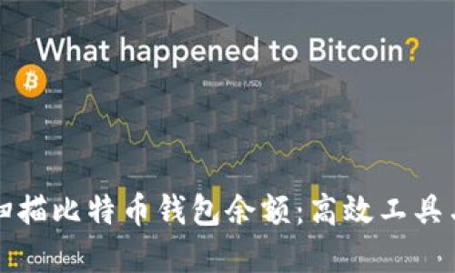 如何批量扫描比特币钱包余额:高效工具与实用技巧