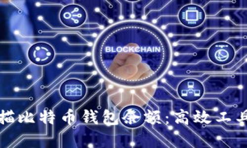 如何批量扫描比特币钱包余额:高效工具与实用技巧