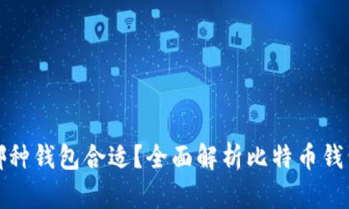 买了比特币放哪种钱包合适?全面解析比特币钱包种类与安全性