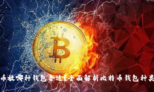 买了比特币放哪种钱包合适?全面解析比特币钱包种类与安全性