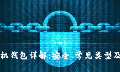 比特币手机钱包详解:安全、常见类型及使用指南