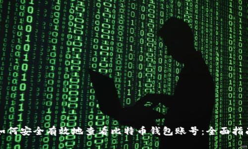 如何安全有效地查看比特币钱包账号:全面指南
