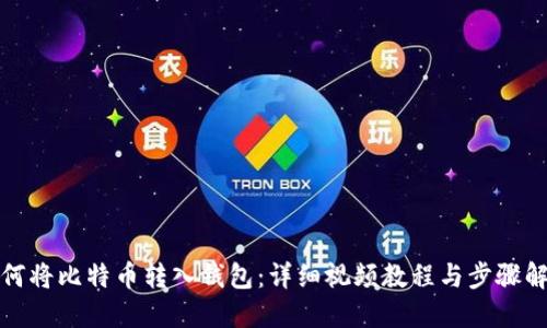 如何将比特币转入钱包：详细视频教程与步骤解读