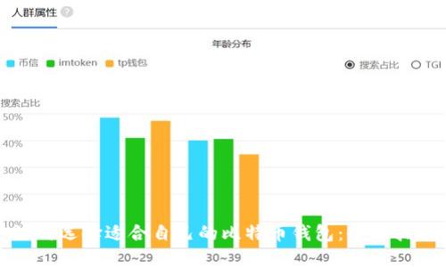 如何选择适合自己的比特币钱包：全面指南