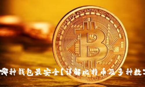 区块链安全之选:哪种钱包最安全?详解比特币及多种数字资产钱包的优劣