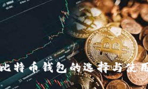 小额比特币钱包的选择与使用指南