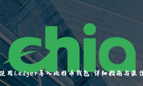 如何使用Ledger导入比特币钱包:详细指南与最佳实践