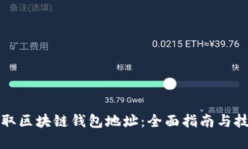 如何读取区块链钱包地址：全面指南与技术解析