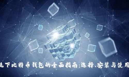Linux系统下比特币钱包的全面指南:选择、安装与使用最佳实践