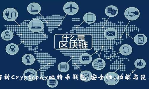 全面解析Cryptopay比特币钱包:安全性、功能与使用指南