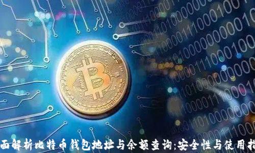 全面解析比特币钱包地址与余额查询:安全性与使用指南