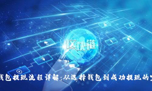 比特币钱包提现流程详解：从选择钱包到成功提现的完整指南