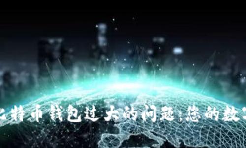 如何解决比特币钱包过大的问题:您的数字资产管理