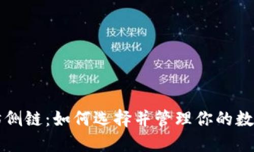 以太坊侧链:如何选择并管理你的数字钱包