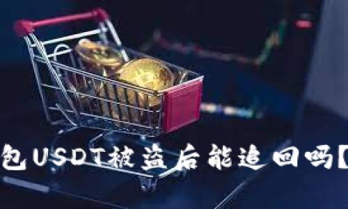 imToken钱包USDT被盗后能追回吗？解析与对策