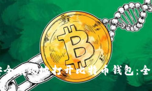 如何安全有效地打开比特币钱包:全面指南