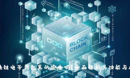 区块链电子钱包真的安全吗？全面解析其功能与风险