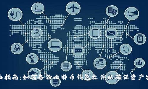 全面指南：如何备份比特币钱包文件以确保资产安全