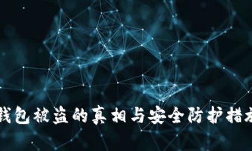 比特币热钱包被盗的真相与安全防护措施全面解析