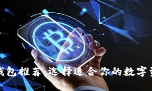 最佳比特币钱包推荐:选择适合你的数字资产管理工具