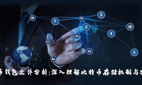 比特币钱包文件分析:深入理解比特币存储机制与安全性