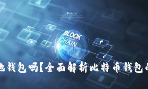 比特币需要本地钱包吗？全面解析比特币钱包的必要性与选择