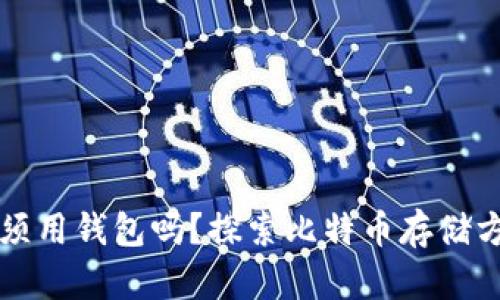 比特币必须用钱包吗？探索比特币存储方式的真相