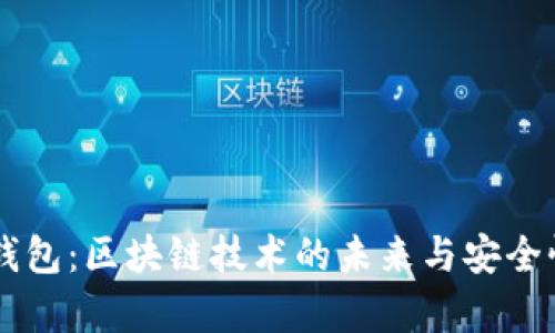 黑洞钱包:区块链技术的未来与安全性分析