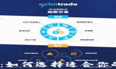 bib虚拟币钱包选择指南：