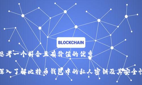 思考一个符合且有价值的优秀

深入了解比特币钱包中的私人密钥及其安全性