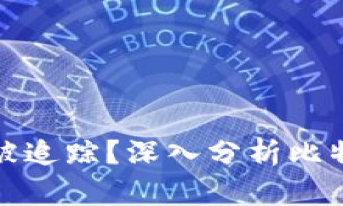 比特币钱包地址能否被追踪？深入分析比特币的隐私与追踪机制