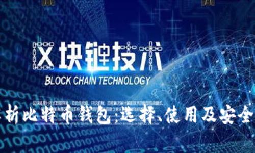 全面解析比特币钱包：选择、使用及安全性指南