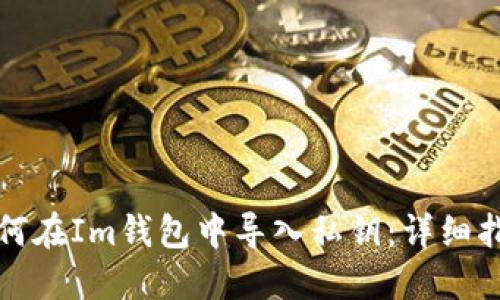如何在Im钱包中导入私钥:详细指南