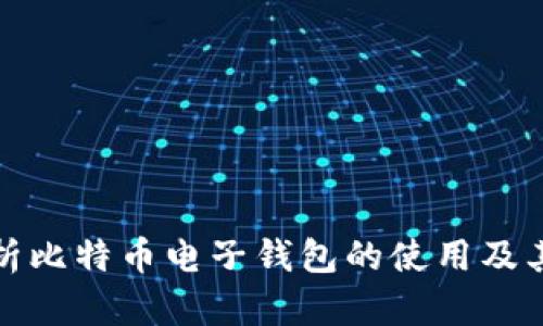 全面解析比特币电子钱包的使用及其安全性