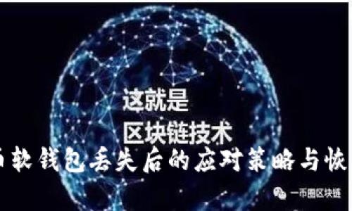 比特币软钱包丢失后的应对策略与恢复方法