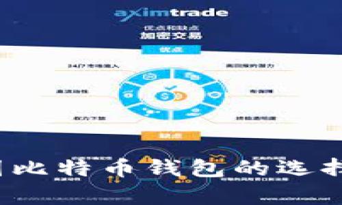 2023年中国比特币钱包的选择与安全解析