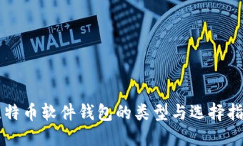 比特币软件钱包的类型与选择指南