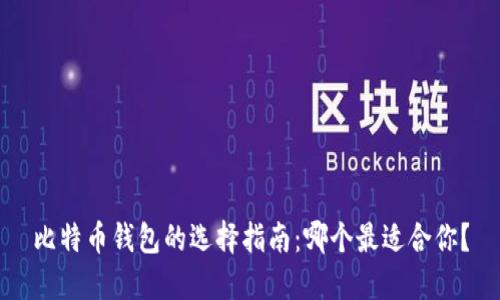 比特币钱包的选择指南:哪个最适合你?