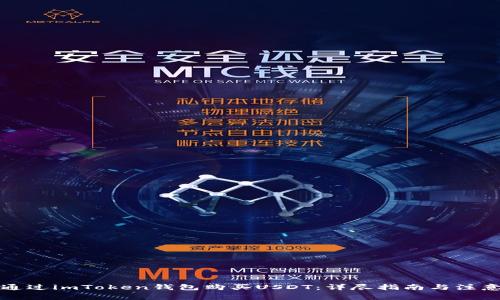 如何通过imToken钱包购买USDT:详尽指南与注意事项