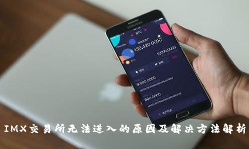 IMX交易所无法进入的原因及解决方法解析
