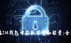 如何在IM钱包中获取带宽和