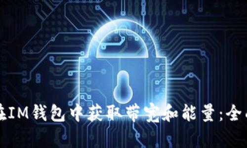 如何在IM钱包中获取带宽和能量:全面指南