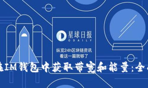 如何在IM钱包中获取带宽和能量:全面指南