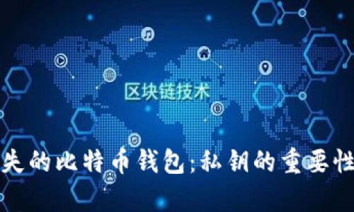 如何找回丢失的比特币钱包:私钥的重要性及恢复方法