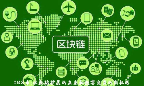 IMX币:以太坊扩展的未来和数字交易的新机遇