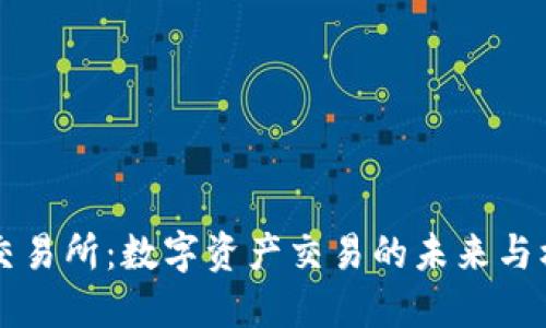 IM交易所:数字资产交易的未来与机遇